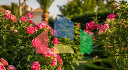 Роскошная Вилла с 7 Спальнями в Престижном Районе Hacienda Las Chapas на Востоке Марбельи