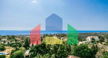 Современный андалузский роскошный уход Современный андалузский роскошный уход