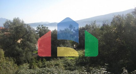 Big plot in Baosici