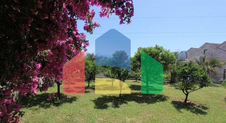 House in Herceg Novi with big garden