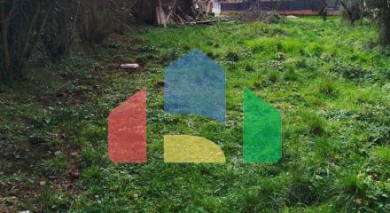 Plot with rusheva in Bartul