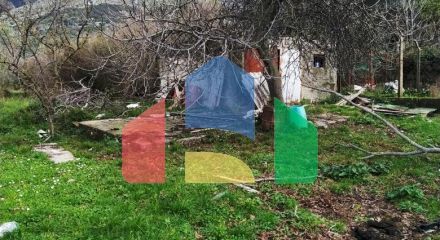 Plot with rusheva in Bartul