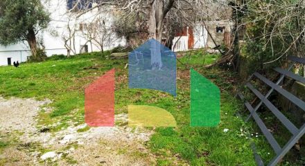 Plot with rusheva in Bartul