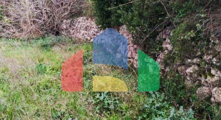 Plot with rusheva in Bartul