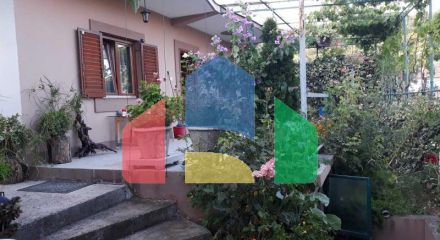 One-storey house with a large plot in Shushani, Bar