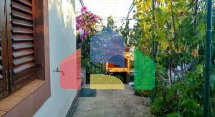 One-storey house with a large plot in Shushani, Bar
