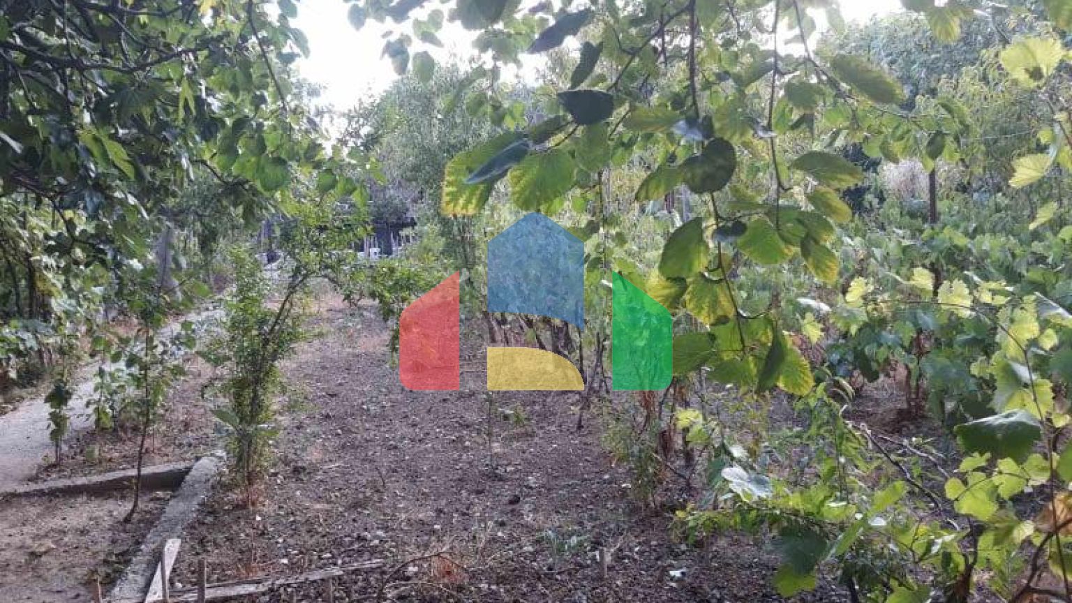 Одноэтажный дом с большим участком в Шушани, Бар