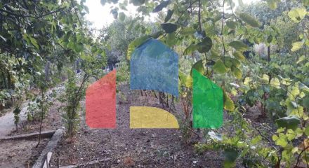 Одноэтажный дом с большим участком в Шушани, Бар