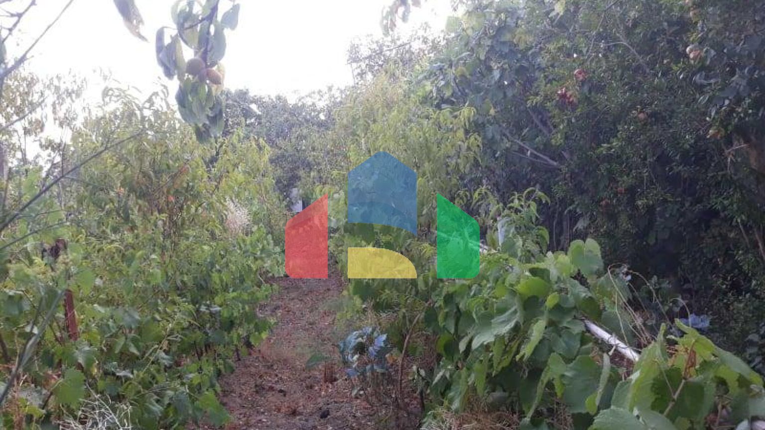 Одноэтажный дом с большим участком в Шушани, Бар