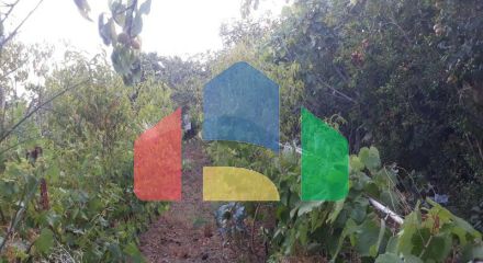 Одноэтажный дом с большим участком в Шушани, Бар