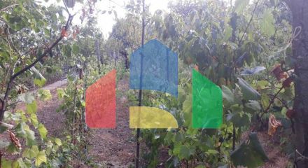 Одноэтажный дом с большим участком в Шушани, Бар