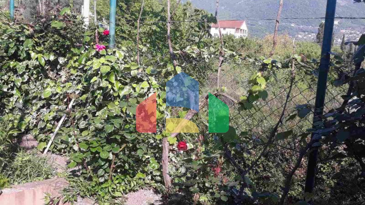 Одноэтажный дом с большим участком в Шушани, Бар