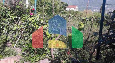 Одноэтажный дом с большим участком в Шушани, Бар