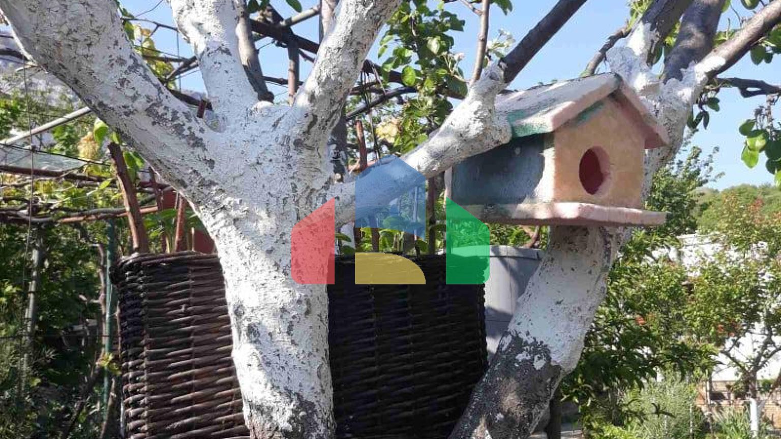 Одноэтажный дом с большим участком в Шушани, Бар