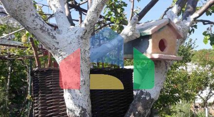 Одноэтажный дом с большим участком в Шушани, Бар