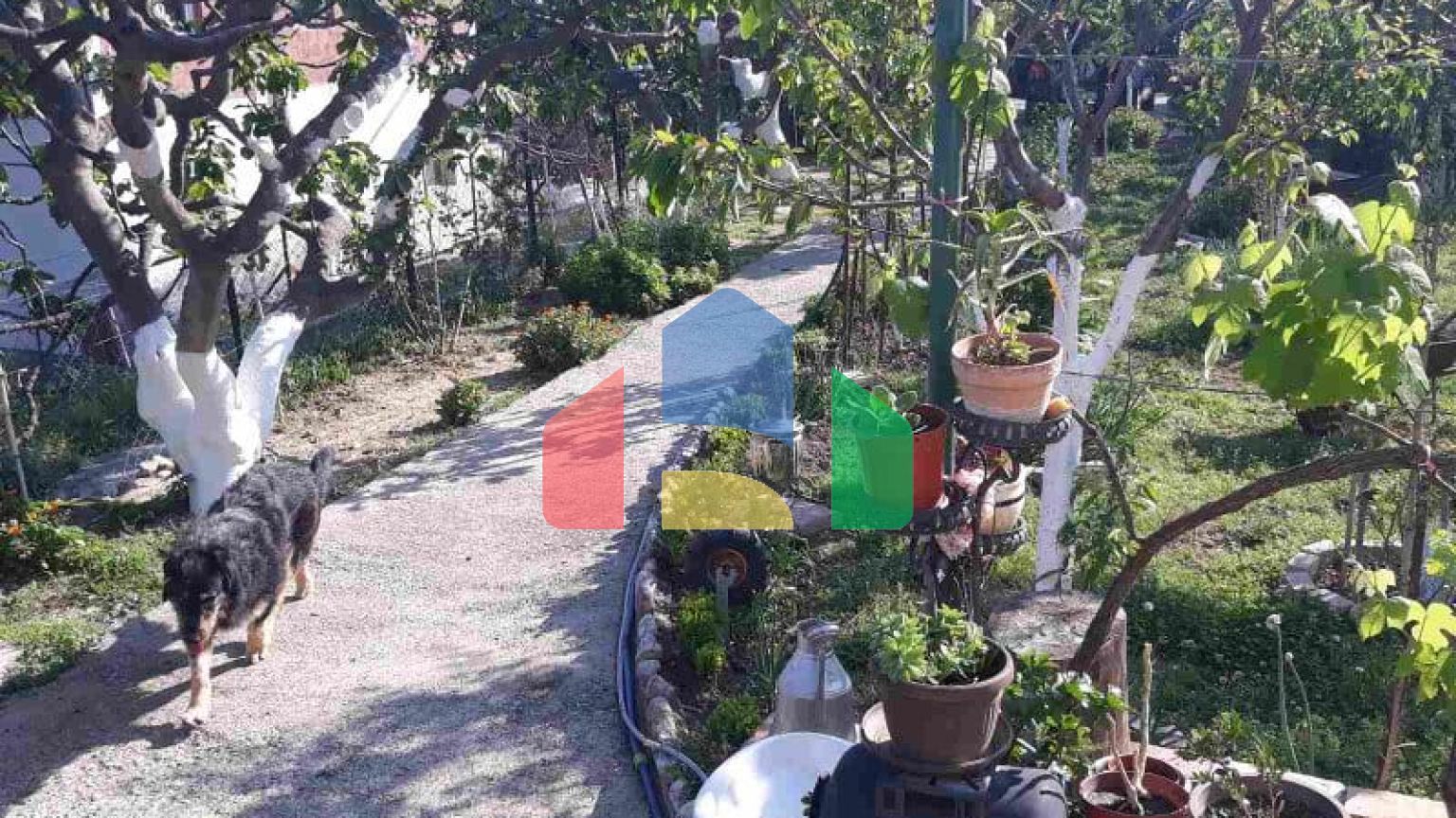 Одноэтажный дом с большим участком в Шушани, Бар