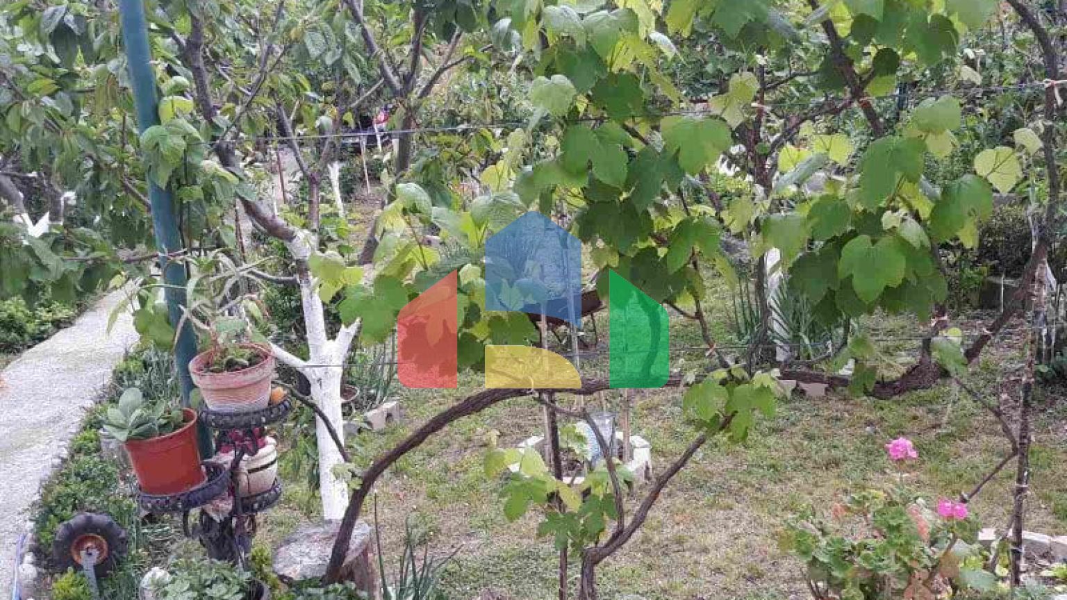 Одноэтажный дом с большим участком в Шушани, Бар