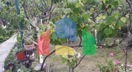 Одноэтажный дом с большим участком в Шушани, Бар