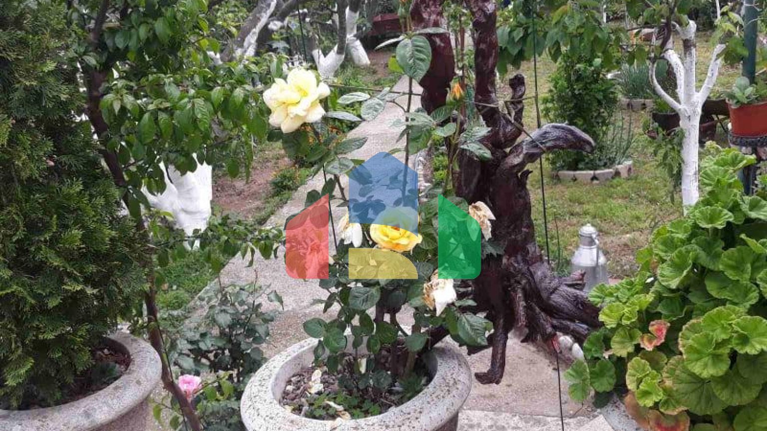 Одноэтажный дом с большим участком в Шушани, Бар