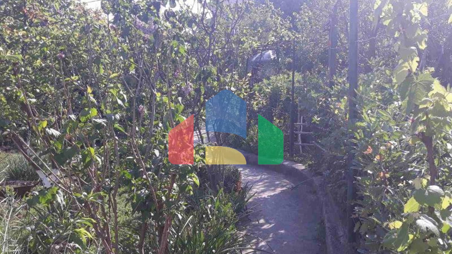 Одноэтажный дом с большим участком в Шушани, Бар