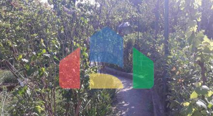 Одноэтажный дом с большим участком в Шушани, Бар