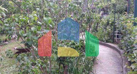 Одноэтажный дом с большим участком в Шушани, Бар