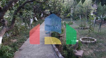 Одноэтажный дом с большим участком в Шушани, Бар