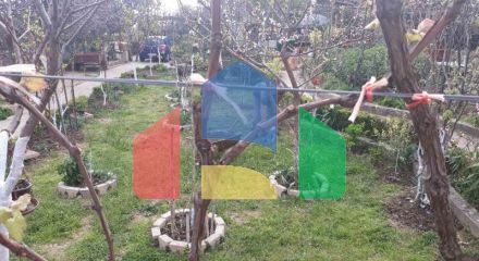 Одноэтажный дом с большим участком в Шушани, Бар