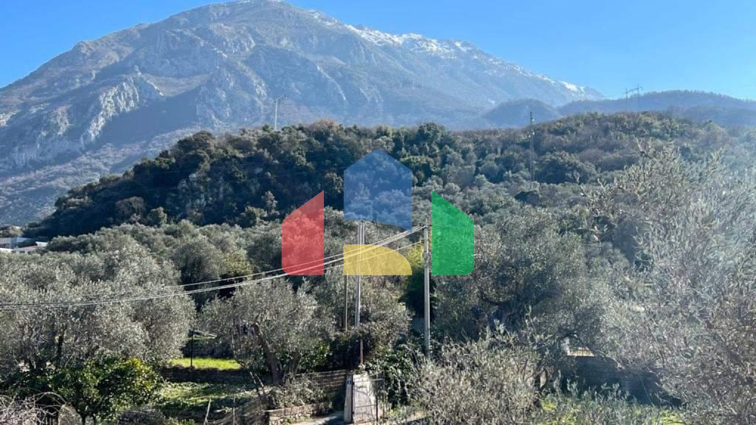 Четыре новые виллы в маслиновой роще в городе Бар