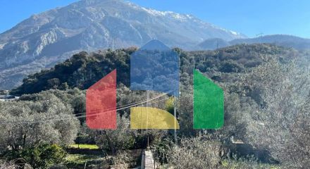 Четыре новые виллы в маслиновой роще в городе Бар Четыре новые виллы в маслиновой роще в городе Бар