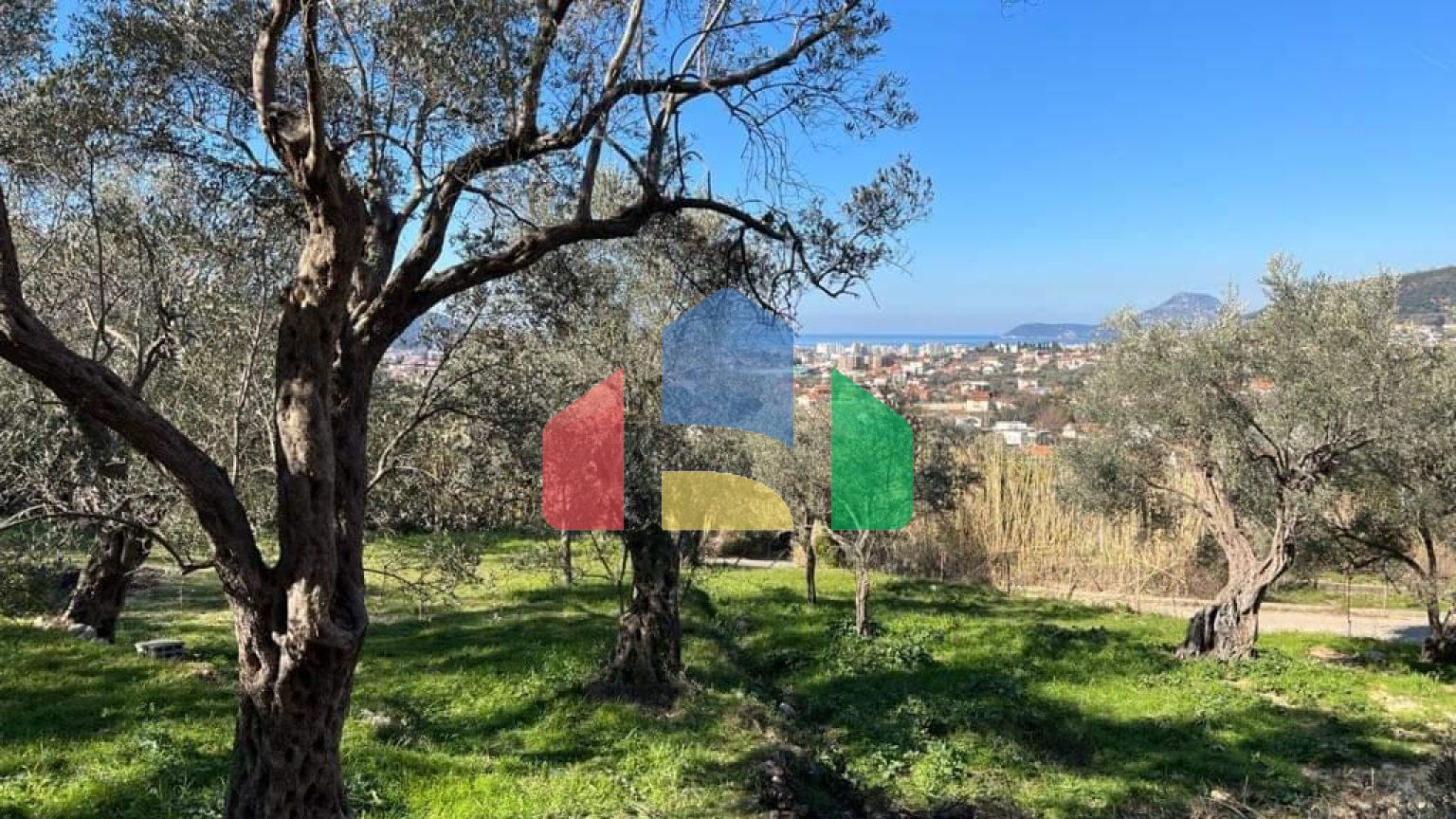 Четыре новые виллы в маслиновой роще в городе Бар