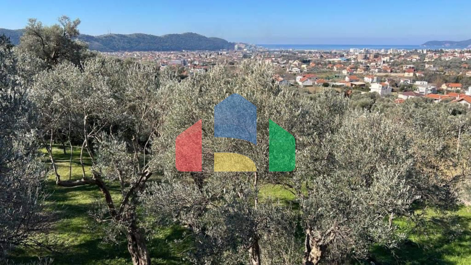 Четыре новые виллы в маслиновой роще в городе Бар