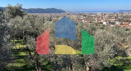 Четыре новые виллы в маслиновой роще в городе Бар Четыре новые виллы в маслиновой роще в городе Бар