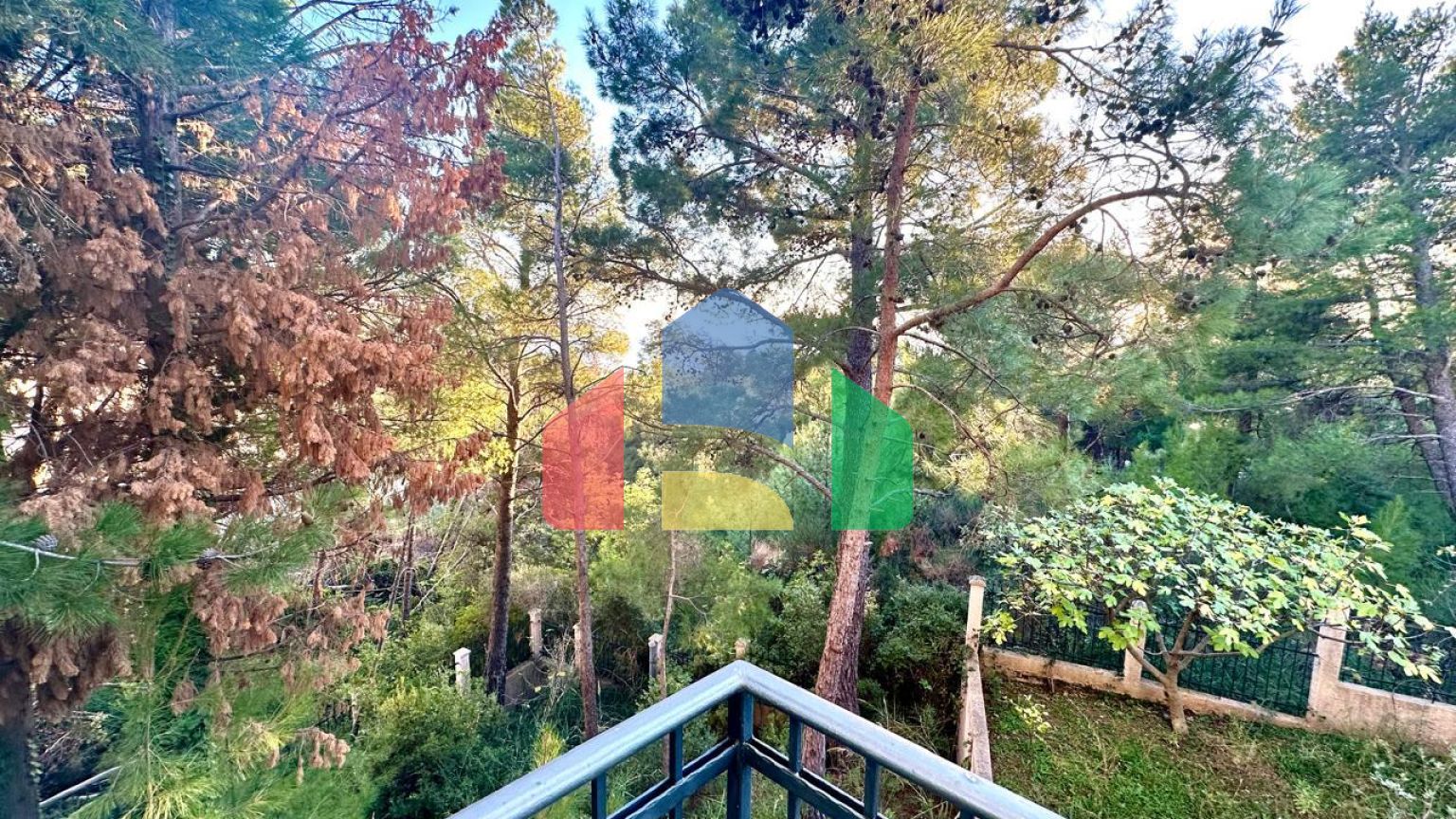 Вилла  в сосновом бору -  Зелёный пояс с видом на море.