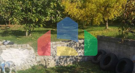 Дом в Старом Баре с оливковой рощей