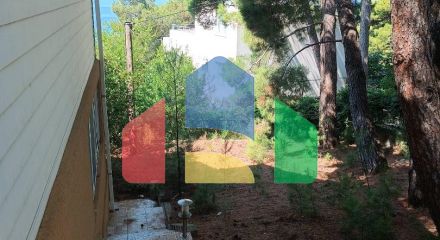 Villa in a pine grove with beautiful sea views in the Green Belt.