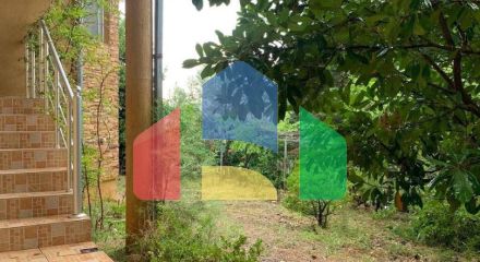 Вилла в сосновой роще с прекрасным видом на море в Зеленом поясе.