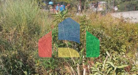 Трехэтажный легальный дом с видом на море в Шушани, Бар Трехэтажный легальный дом с видом на море в Шушани, Бар