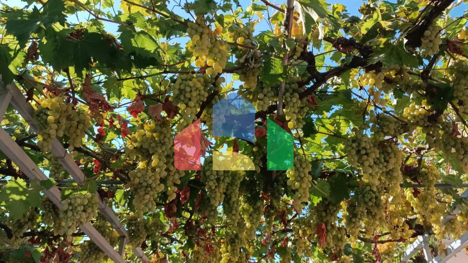 Дом в Шушани с прекрасным видом на море