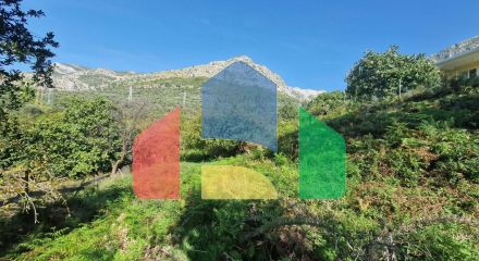 Просторный земельный участок в Бартуле, Бар.