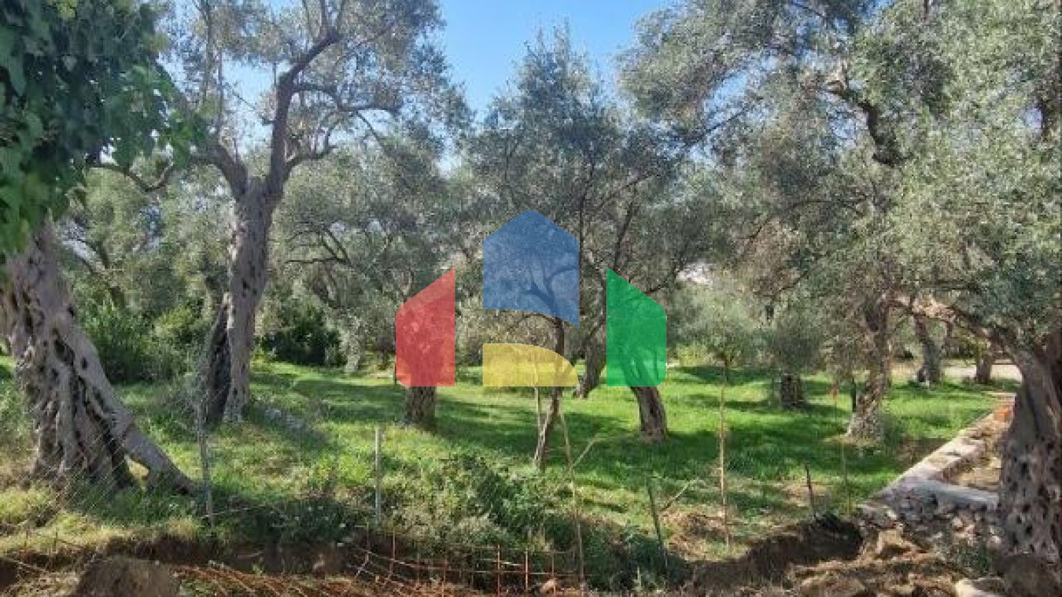 Новая двухэтажная вилла  в маслиновой роще в городе Бар