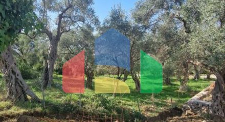 Новая двухэтажная вилла  в маслиновой роще в городе Бар