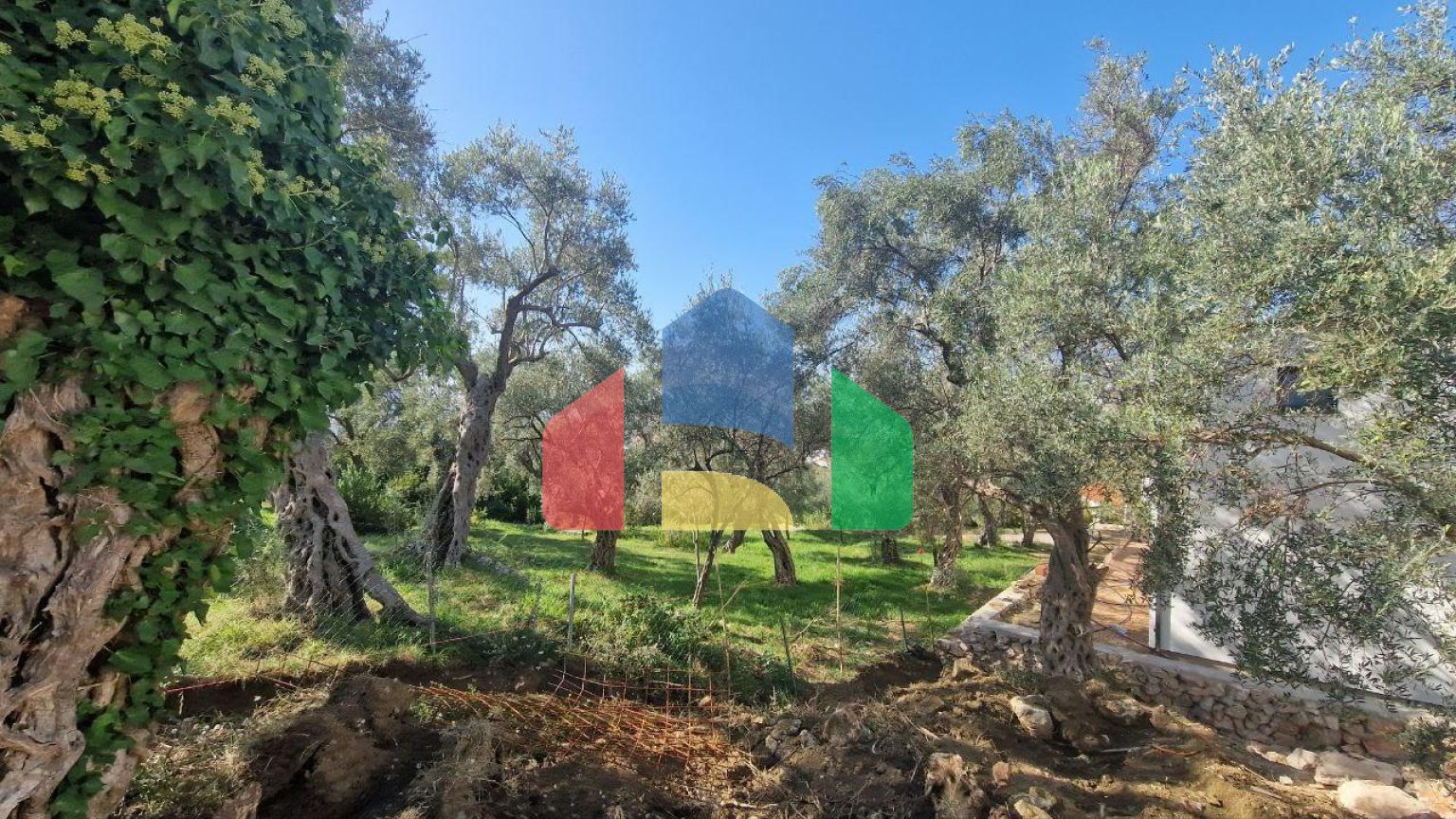 Новая двухэтажная вилла  в маслиновой роще в городе Бар