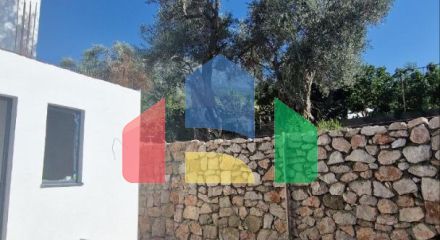 Новая двухэтажная вилла  в маслиновой роще в городе Бар