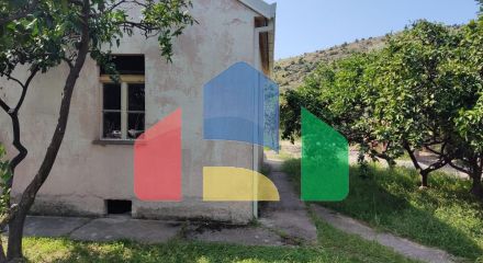 One-story house with a large plot in Nizhnee Zalyevo.