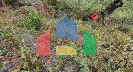 Plot of land above the highway, Ratac.