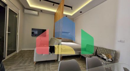 Studio with designer renovation with one bedroom in Bar