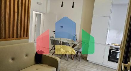 Studio with designer renovation with one bedroom in Bar