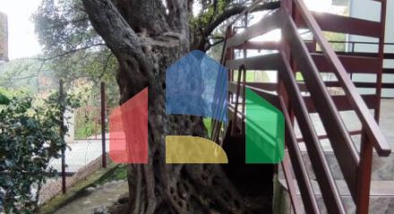 Двухэтажный дом с большим участком в районе Шушань, Бар.