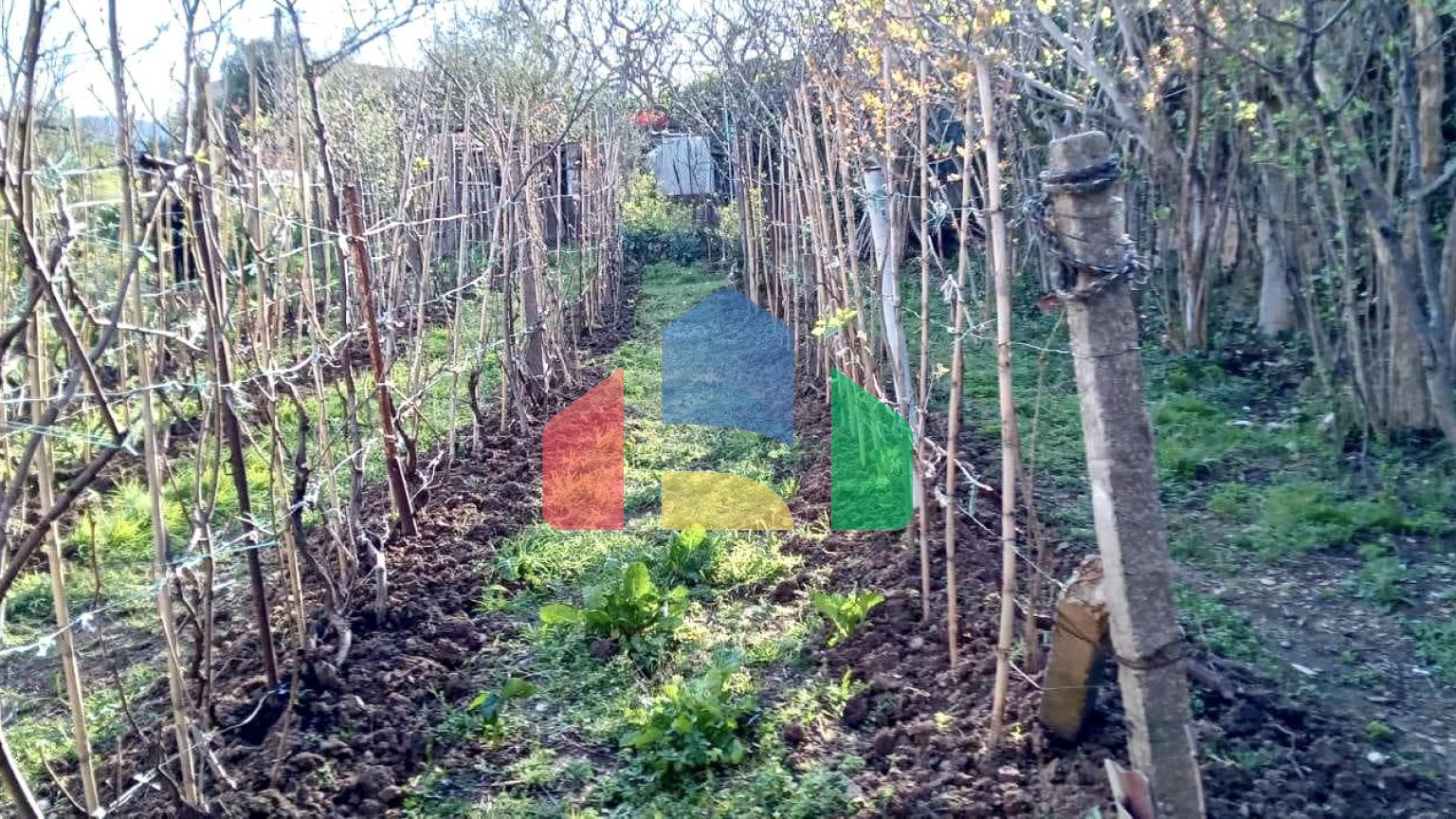 Дом с большим участком и видом на море в Баре